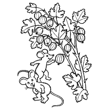 coloring page: Two mouse and a gooseberry bush