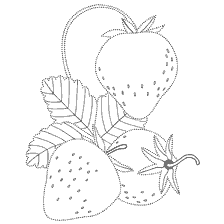 coloring page: Contour coloring of strawberry berries