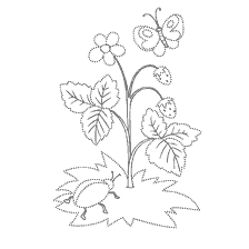 coloring page: Coloring with berries of forest strawberry and insects