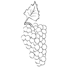 coloring page: Grape paintbrush
