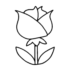coloring page: Black and white coloring of rose flower