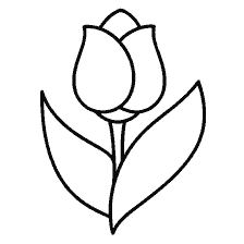 coloring page: Tulip coloring for children