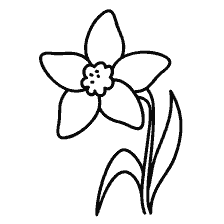 coloring page: Drawing a daffodil flower for coloring