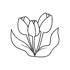 coloring page: Black and white coloring of tulips with green leaves