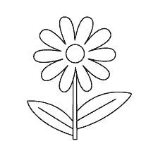 coloring page: Drawing of chamomile for coloring