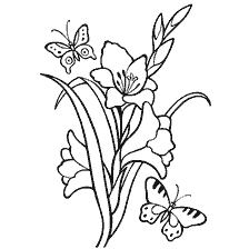 coloring page: Coloring with the image of gladiolus and butterflies