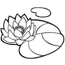 coloring page: Coloring the flower of the water lilies on the water surface