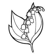 coloring page: Lily on the coloring book
