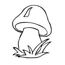 coloring page: Mushroom for coloring for small children