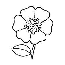 coloring page: Coloring flowers for children