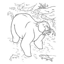 coloriage: Ours avec poissons capturés sur le fond de la rivière et poissons flottants