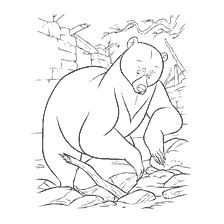 coloriage: L'ours déchire des rochers