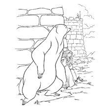 coloriage: Reine ours et princesse Merida sur le livre de coloriage de Braveheart