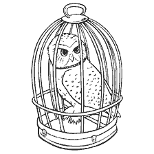 coloring page: Drawing an owl in a cage for coloring Harry Potter