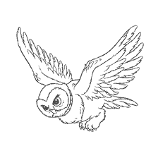 coloring page: Owl Beetle, a character from Harry Potter, in flight