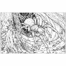 coloring page: Spider Aragogue from the Harry Potter universe sitting in his lair
