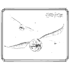 coloring page: Coloring the Golden Snitch from the World of Harry Potter