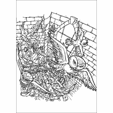 coloring page: Coloring with owls from the world of Harry Potter