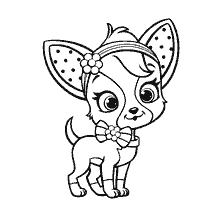 coloring page: Coloring Chihuahua Malinki named Chiffon