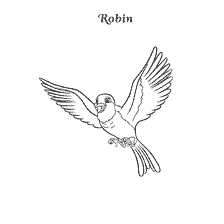 pagina da colorare: Colorazione dell'uccello Robin da Sofia Bella