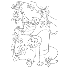coloring page: Coloring with monkeys playing on a tree
