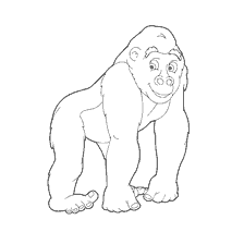 coloring page: A drawing of a great monkey for coloring