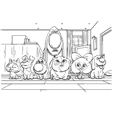 coloring page: Characters from the cartoon The Secret Life of Pets 2 for coloring