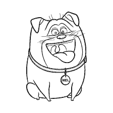 coloring page: Pug Mel with a collar and a bright smile