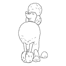 coloring page: Coloring Poodle Leonard from the cartoon The Secret Life of Pets