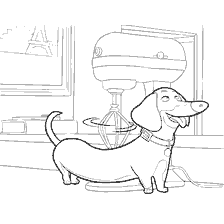 coloring page: Coloring Dachshund Buddy from the movie The Secret Life of Pets