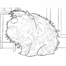 coloring page: Dog Duke from the Secret Life of Pets in Coloring
