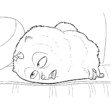 coloring page: Coloring Spitz Gidget from the Secret Life of Pets