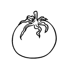 coloring page: Coloring a tomato