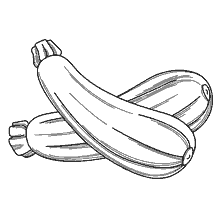 coloring page: Image of two zucchini on the coloring book