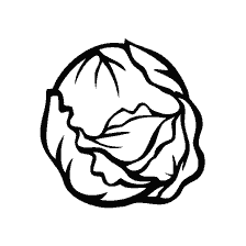 coloring page: Painting of cabbage