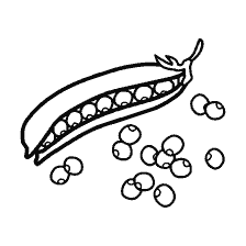 coloring page: Drawing of peas with seeds
