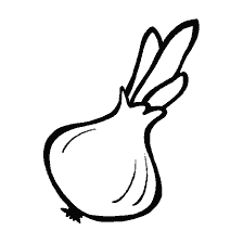coloring page: Coloring onion drawing