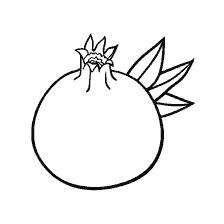 pagina da colorare: Prospettive di melograno