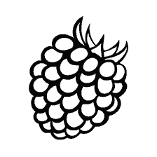 pagina da colorare: Colorazione di lampone bianco e nero