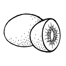 pagina da colorare: Kiwi pittura in libro di colorazione