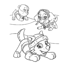 pagina da colorare: Immagine per la colorazione con i personaggi del Puppy Patrol: Freak, Skye e Everest