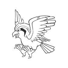 coloring page: Coloring Pigeot, the evolution of Pokemon