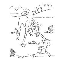 coloring page: Foal and gopher in the coloring book Spirit: Lord of the Prairies