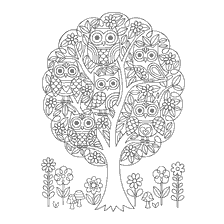 coloring page: Coloring for adults: Owls on a tree