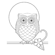 coloring page: Coloring for adults with an owl image