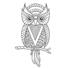 coloring page: Coloring for adults with a cute owl