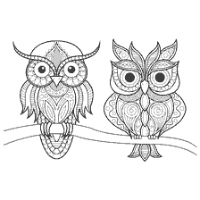 coloring page: Two stylized owls on a branch for coloring