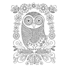 coloring page: Coloring for adults with an image of an owl and flowers