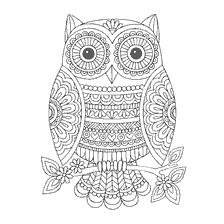 coloring page: Coloring owl anti-stress on a branch