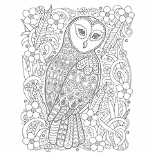 coloring page: Adult coloring book: Polar owl among flowers